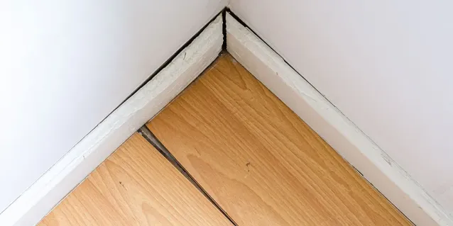 Cómo solucionar problemas comunes en pisos laminados, como chirridos o separación de tablas.
