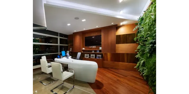 Ideas para muros verdes de follaje sintético en oficinas