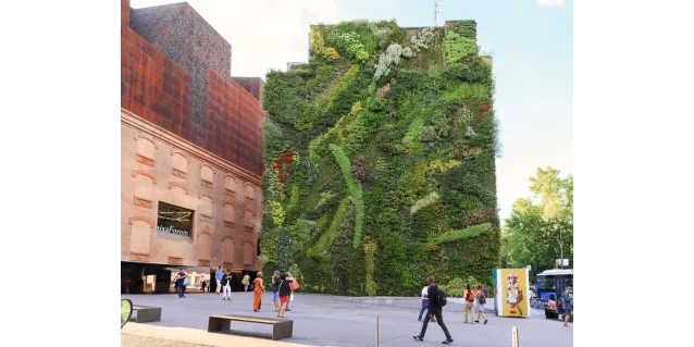 Mantenimiento para tus jardines verticales artificiales