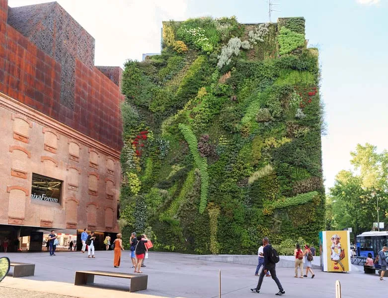Mantenimiento para tus jardines verticales artificiales