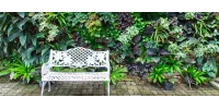 ¡CONECTA TU HOGAR CON LA NATURALEZA ESTE AÑO NUEVO!