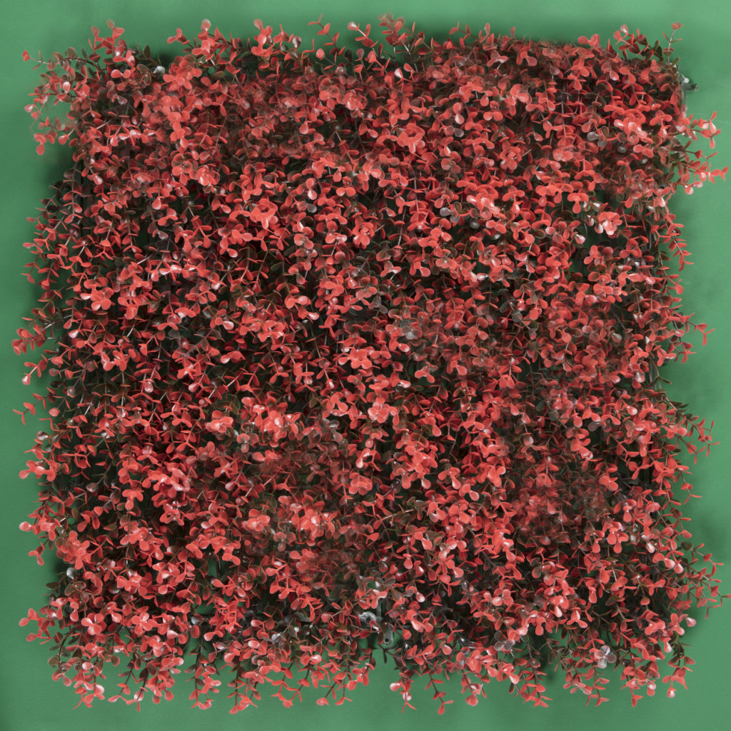 ARRAYAN ROJO - Tekno-Step :: El piso de tu vida