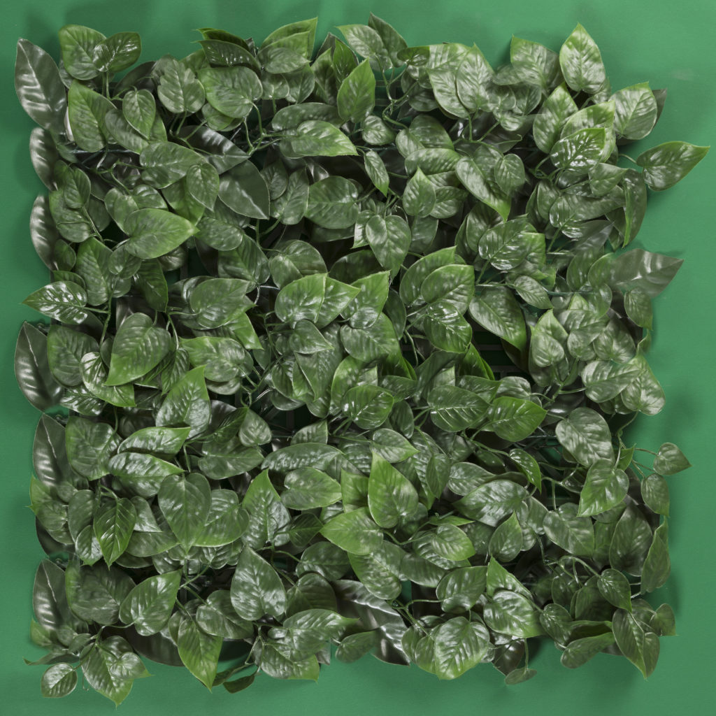 ARRAYAN VERDE - Tekno-Step :: El piso de tu vida