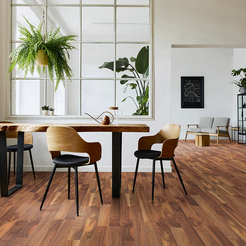 37503_RS_6 AUSTRALIAN WALNUT - Image 3
