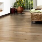 MOUNTAIN BEECH - Image 5