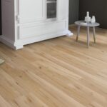 MOUNTAIN BEECH - Image 4