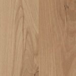 Mountain Beech Splash