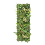 AMAZONAS-C - Image 6