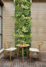 AMAZONAS-C - Image 3