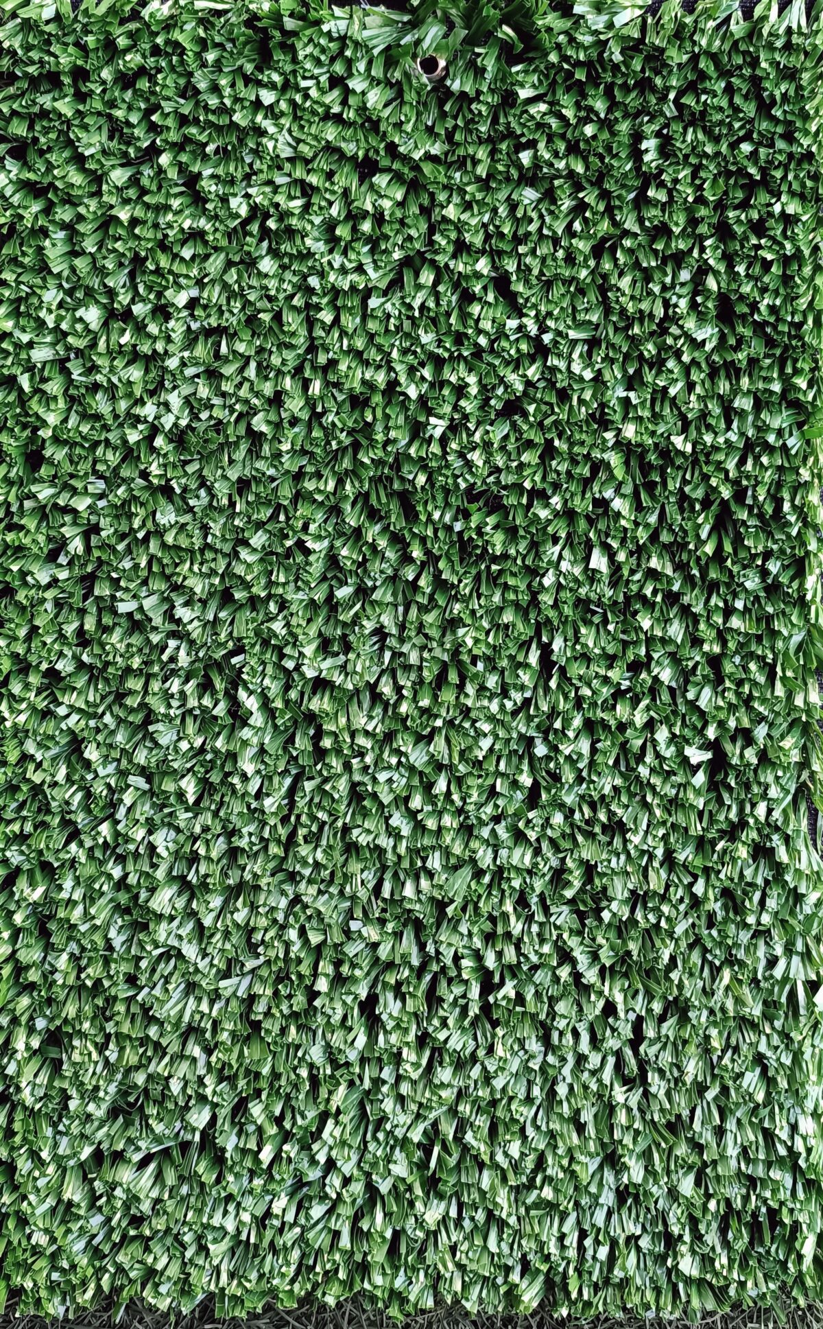 DEPORTIVO VERDE - Image 2