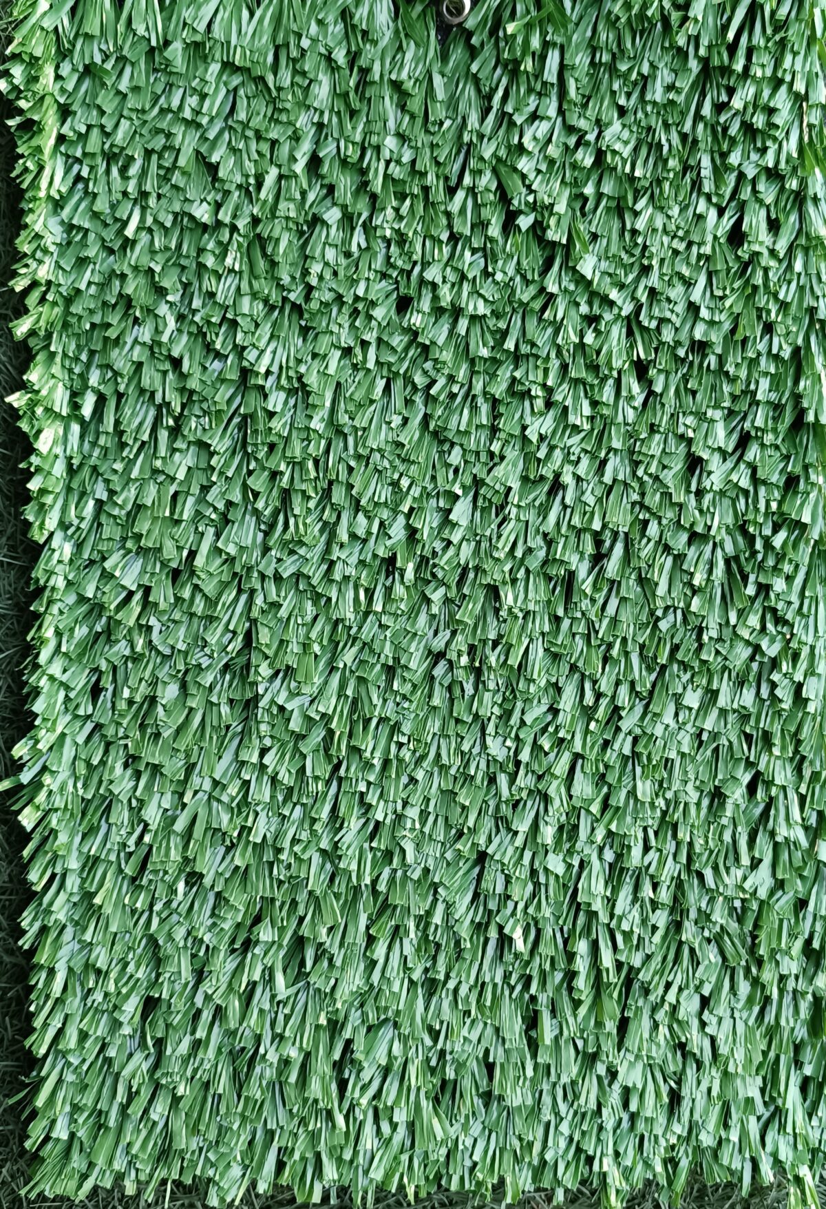 DEPORTIVO VERDE - Image 2