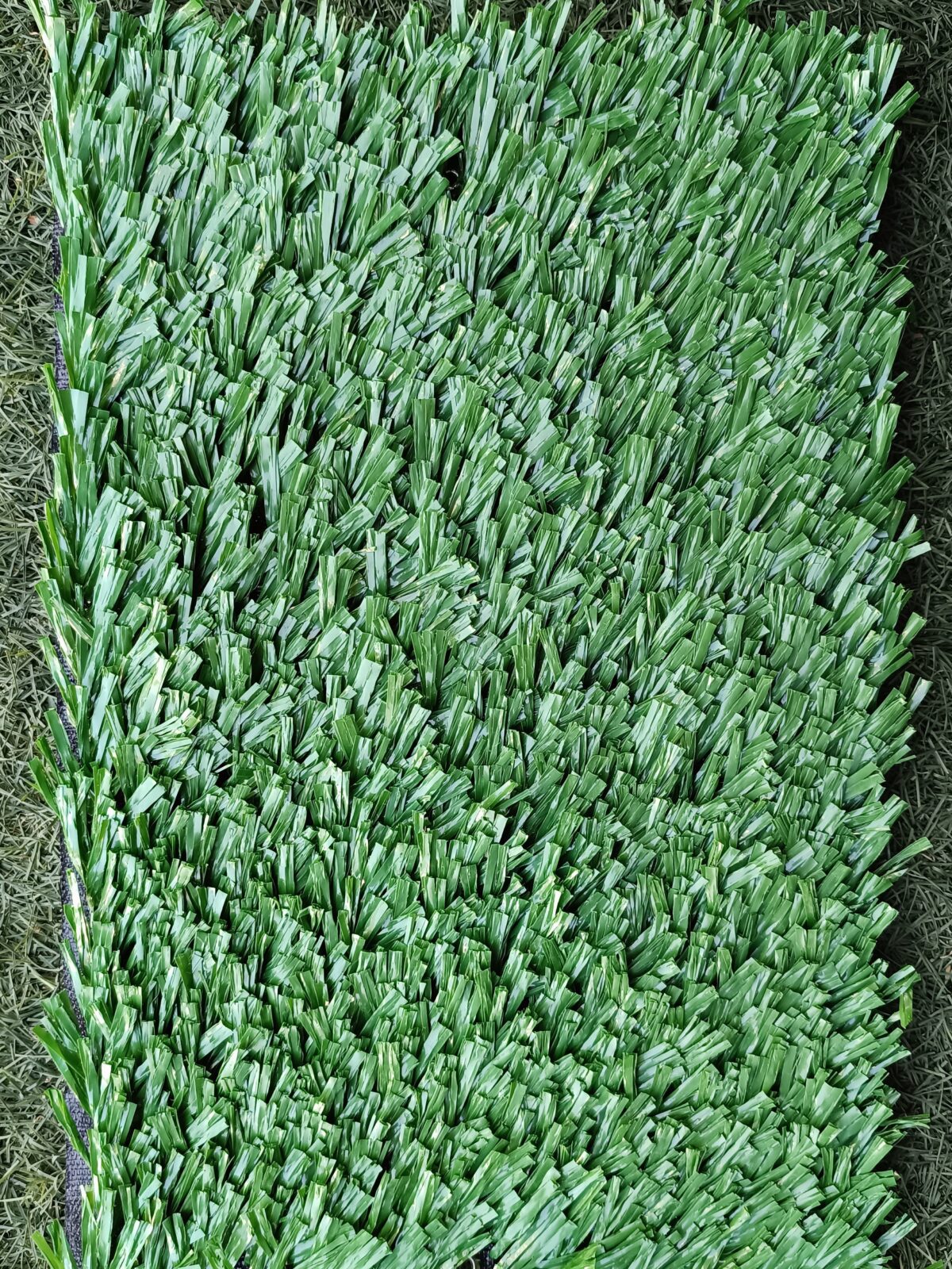 DEPORTIVO VERDE - Image 2