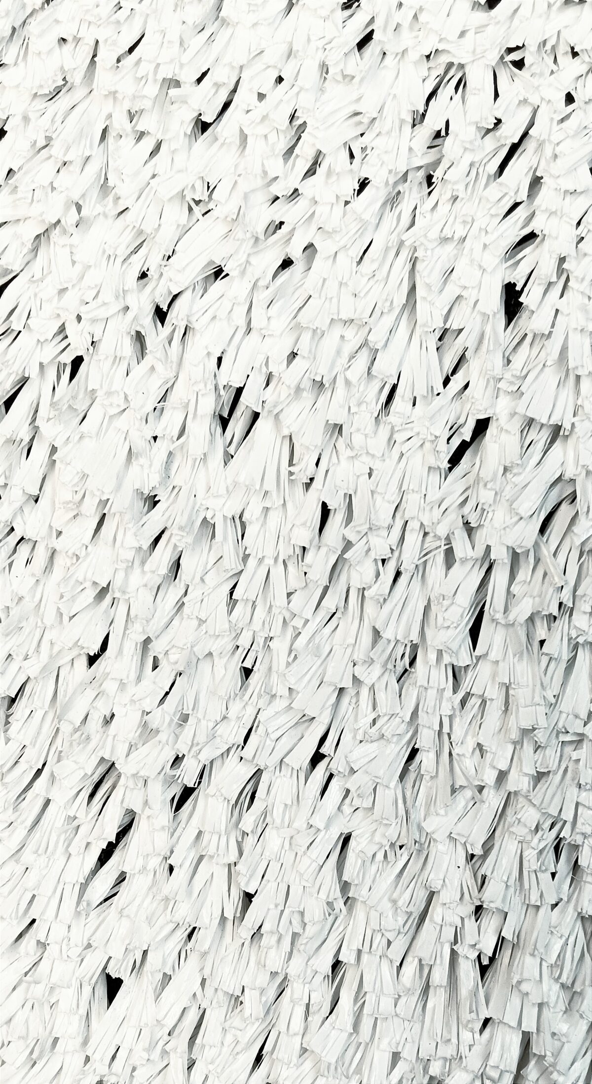 DEPORTIVO BLANCO - Image 2