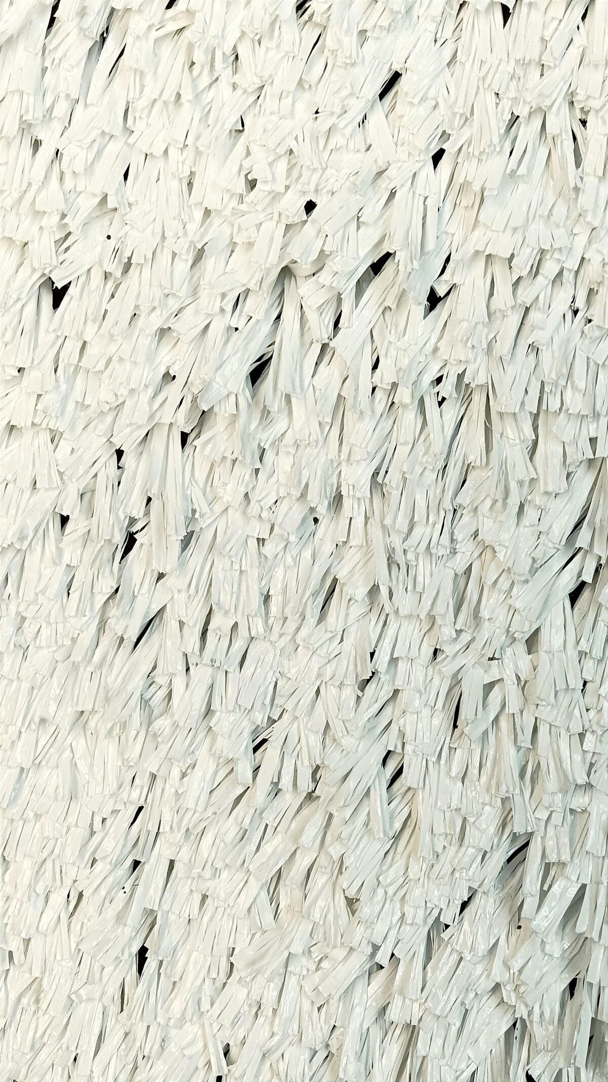 DEPORTIVO BLANCO - Image 2