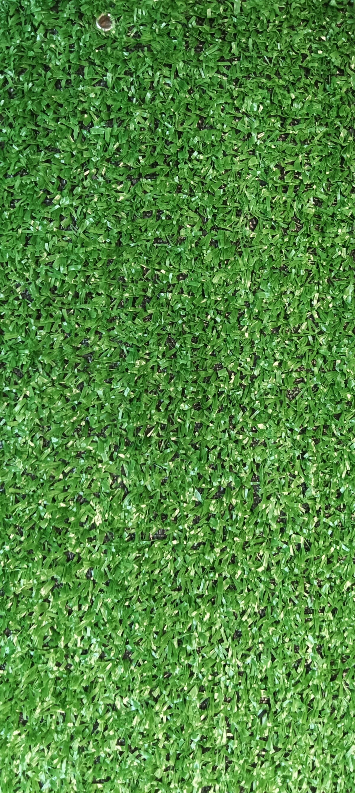 TG-07-ARUBA - Image 2