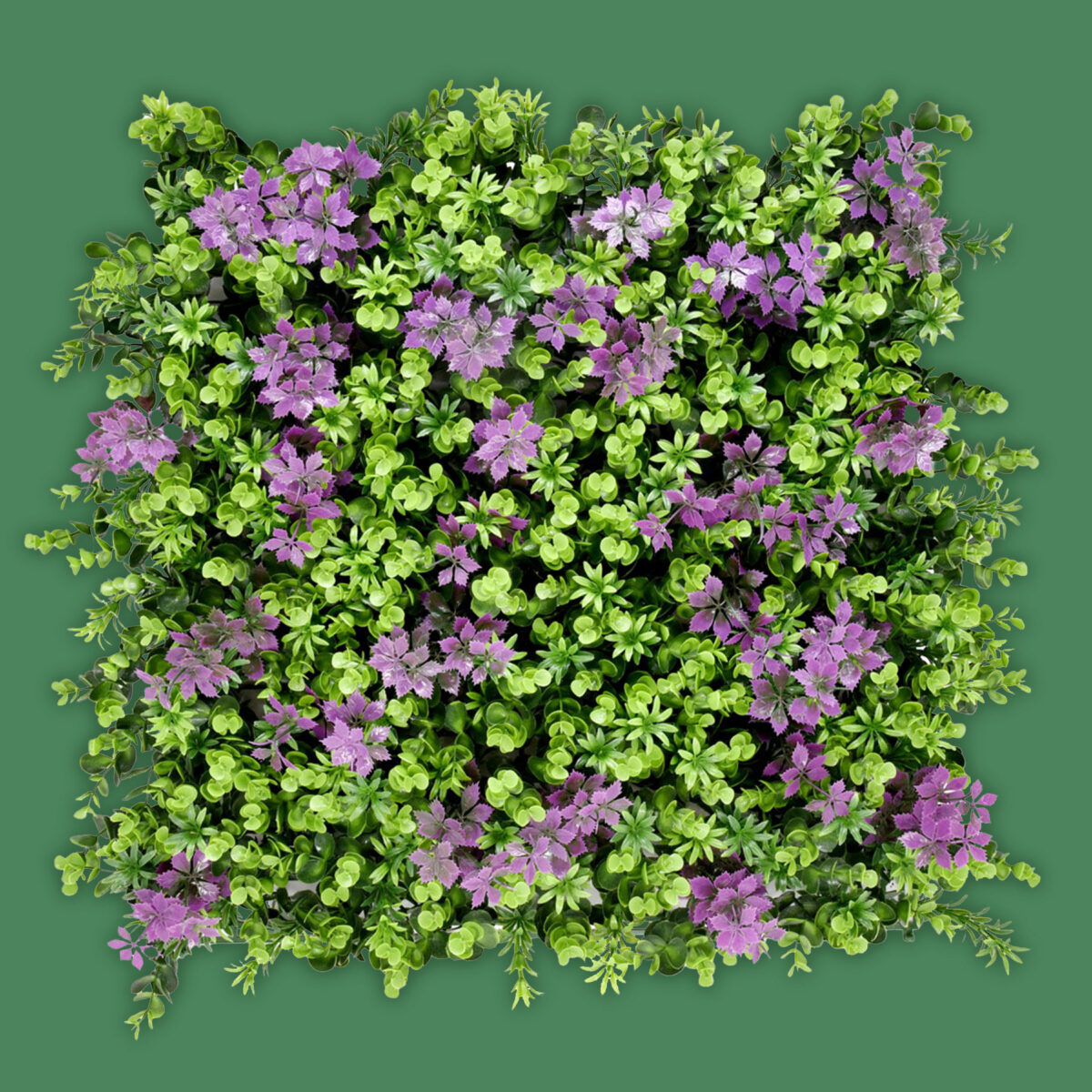 Tekno-Step-Follajes-Amsterdam AMSTERDAM - Image 1